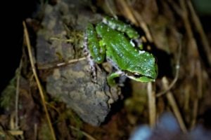 image011