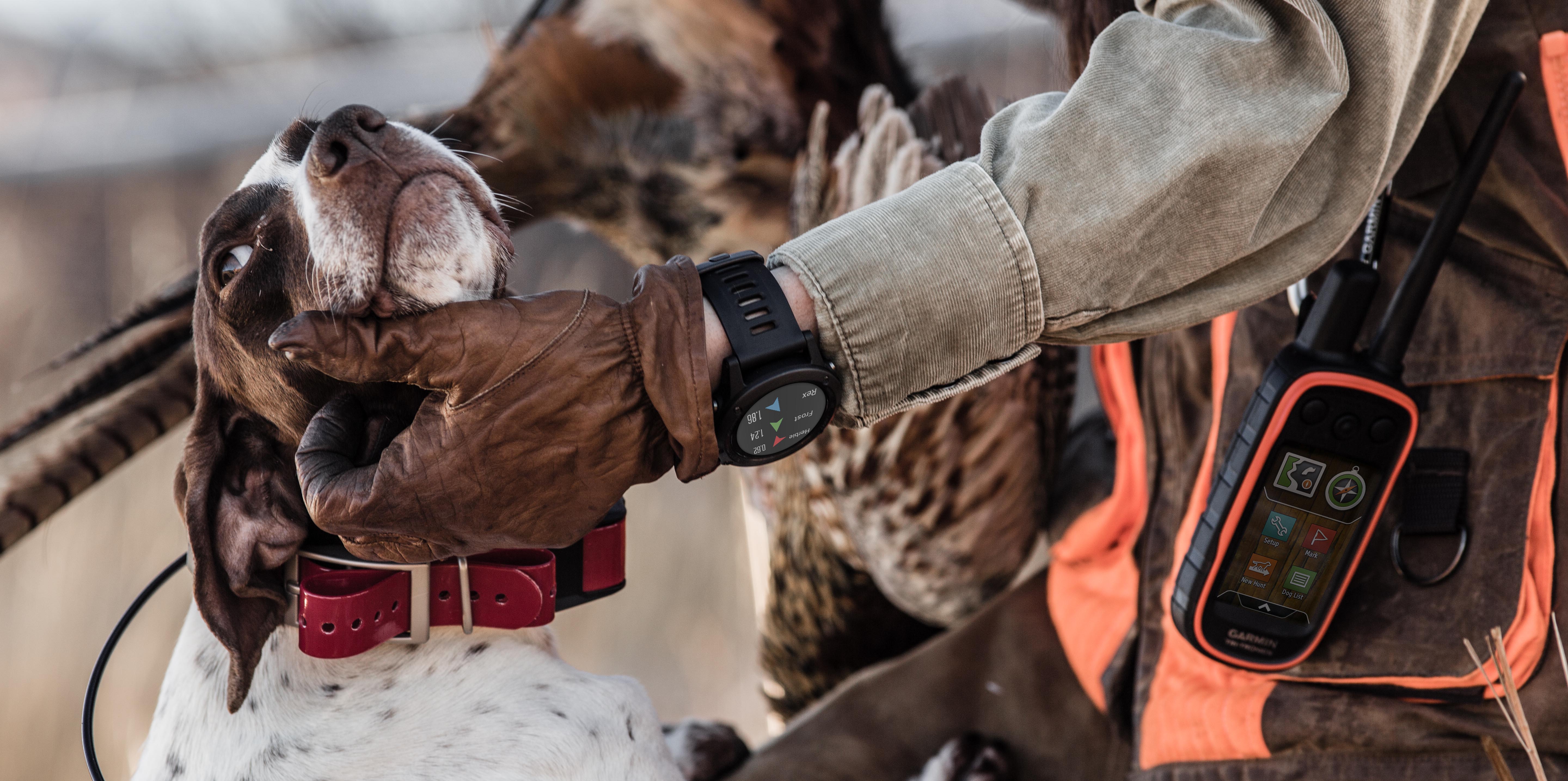 is garmin coming out with a new dog tracking system