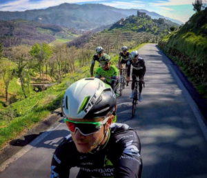 dimension data